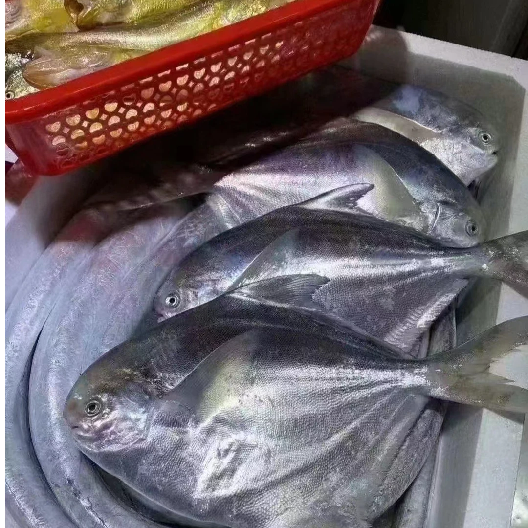直播间各种新鲜鱼虾现称现拍链接，请勿乱拍！！！