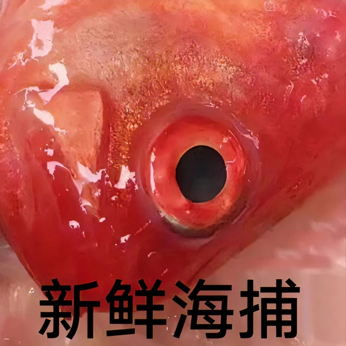 舟山海鲜 新鲜冷冻  红带鱼 赤刀鱼 一条5/8两 4斤/份 顺丰直发