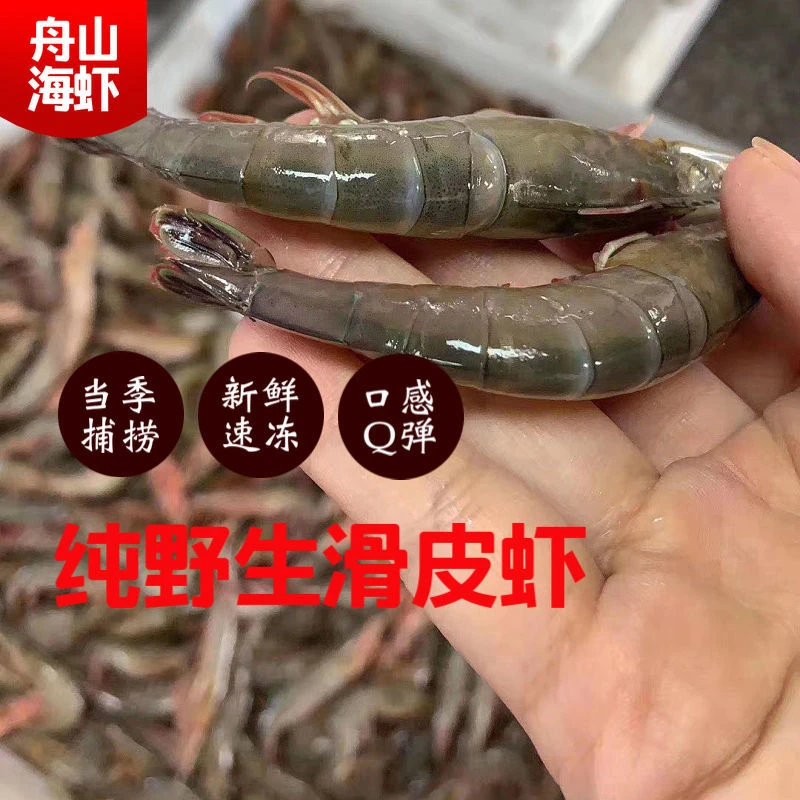 舟山海鲜 硬壳滑皮虾45条左右/斤 4斤一份