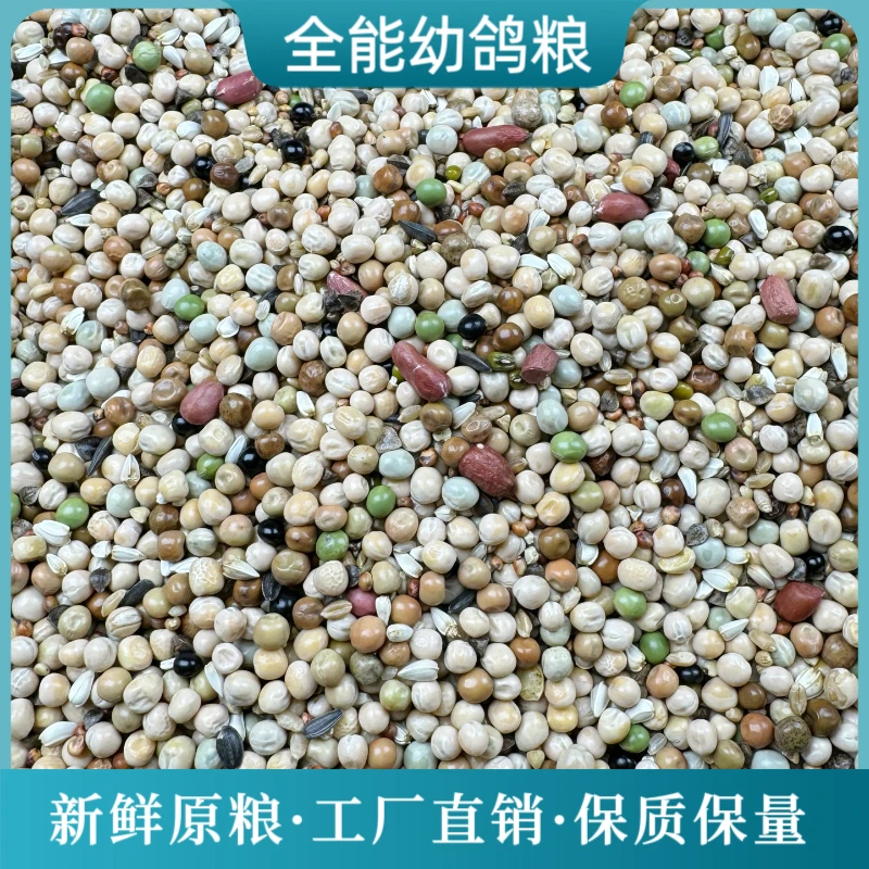 中信无小麦全能幼鸽粮50斤幼鸽种鸽赛飞饲料信观赏鸽子粮食鸟食