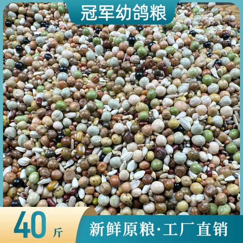 中信冠军幼鸽粮40斤/袋鸟食信鸽观赏鸽赛鸽子种鸽饲料粮幼鸽包邮