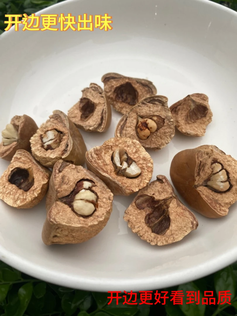 广西十万大山野果农产品。