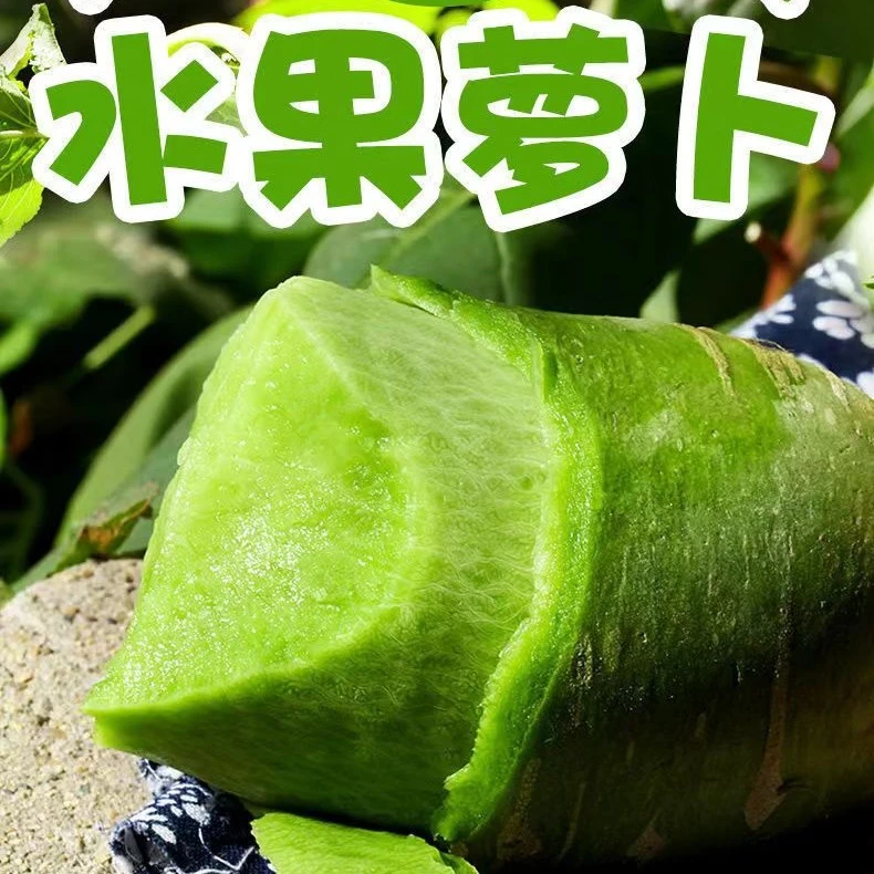 山东正宗新鲜现拔生吃甜脆沙窝青水果萝卜约5斤