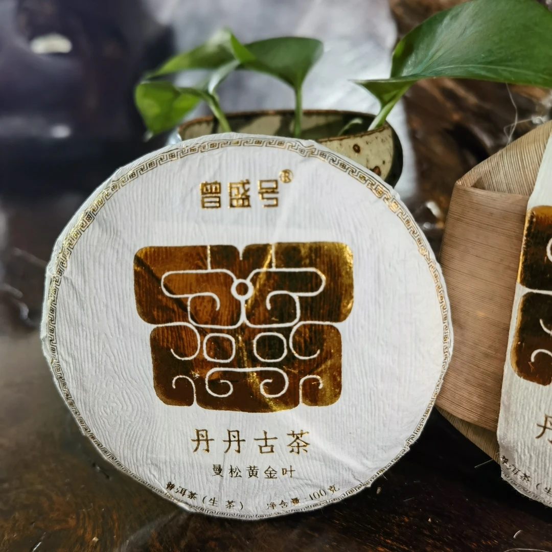 曾盛号【曼松王子山黄金叶】2024年古树生茶 小方片8克x10片  80克