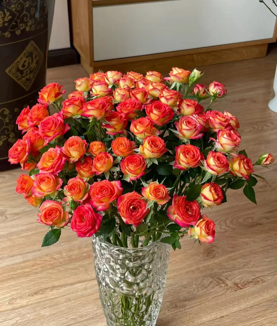 爱丽丝8只+2只防损鲜花任意满两单包邮