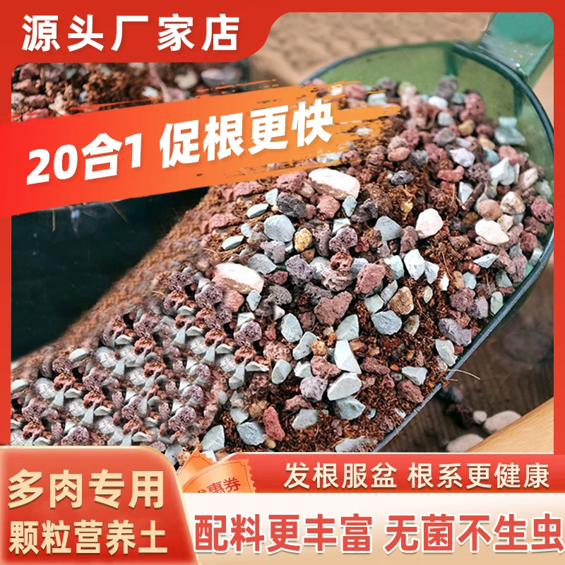 多肉颗粒土多肉土专用营养土壤种植土泥铺面石纯颗粒泥炭花土盆栽