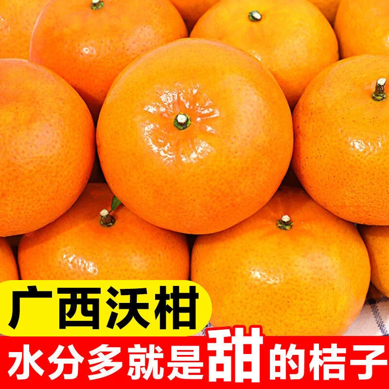 超甜多汁 广西武鸣沃柑 柑橘新鲜应季水果桔子 个大饱满肉厚
