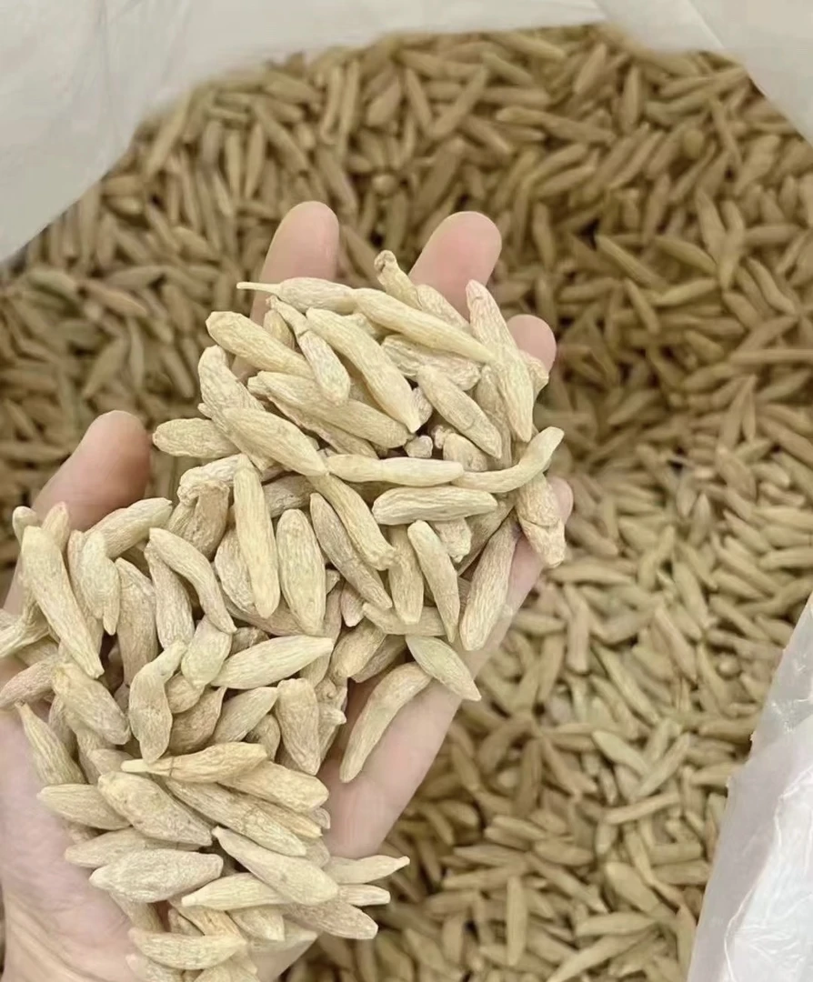 【福腾甄选】四川，麦冬，食用滋补手工挑选100-500克饱满健康