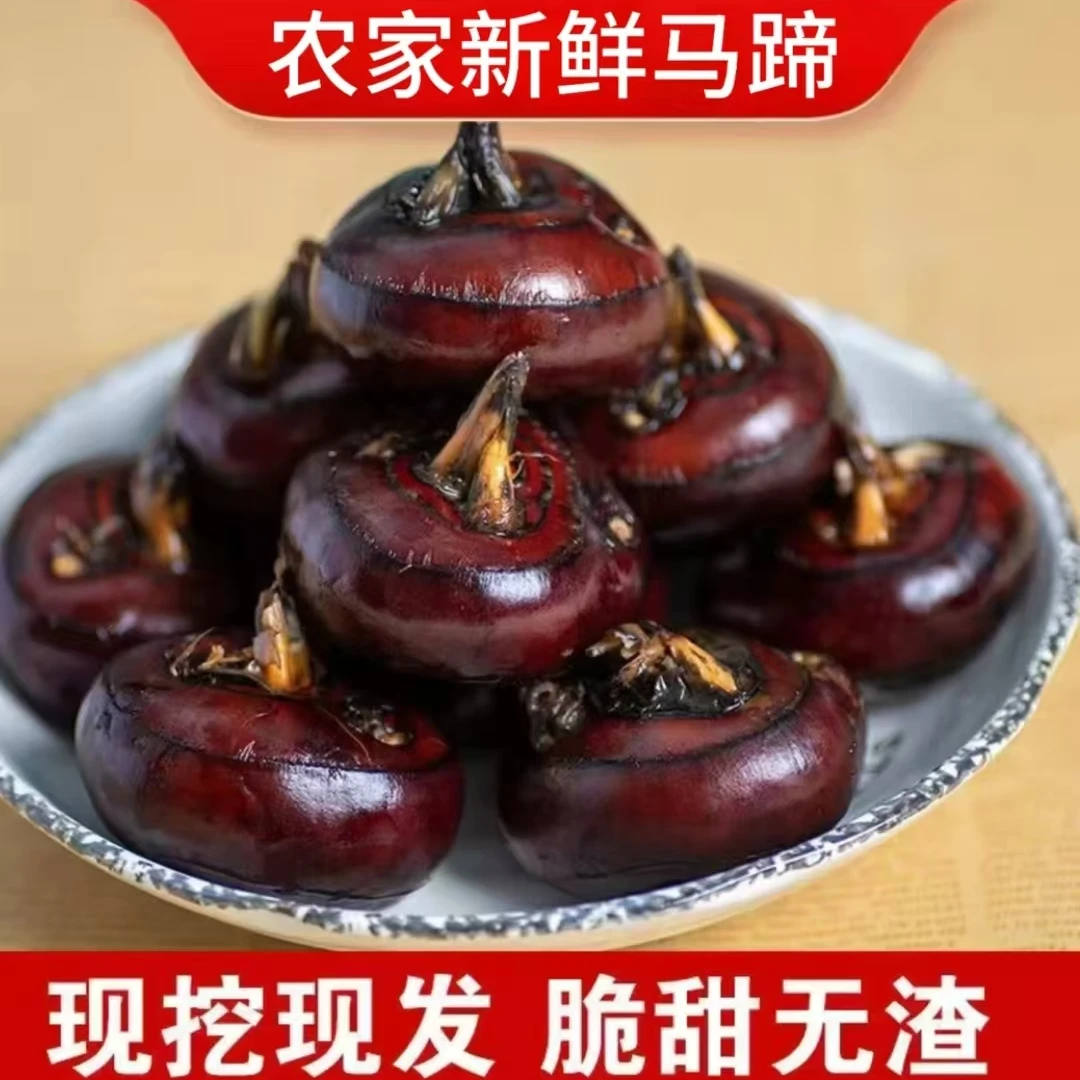 广西荔浦新鲜马蹄荸荠脆甜多汁当季水果产地直供