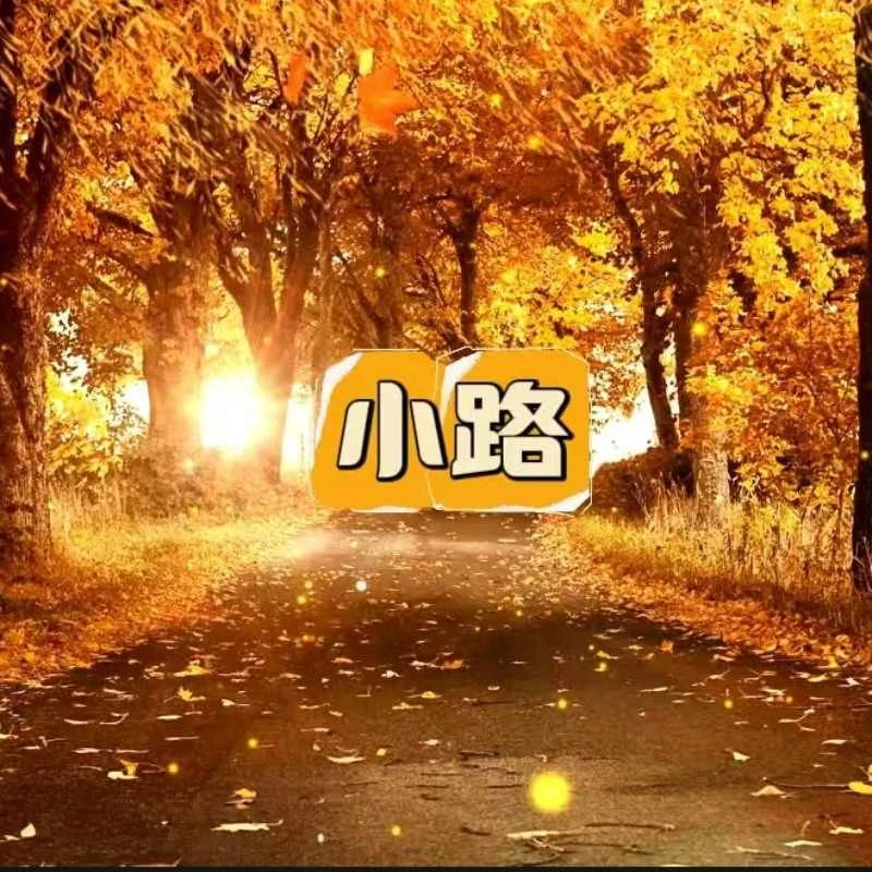 学习演奏钢琴曲《小路》