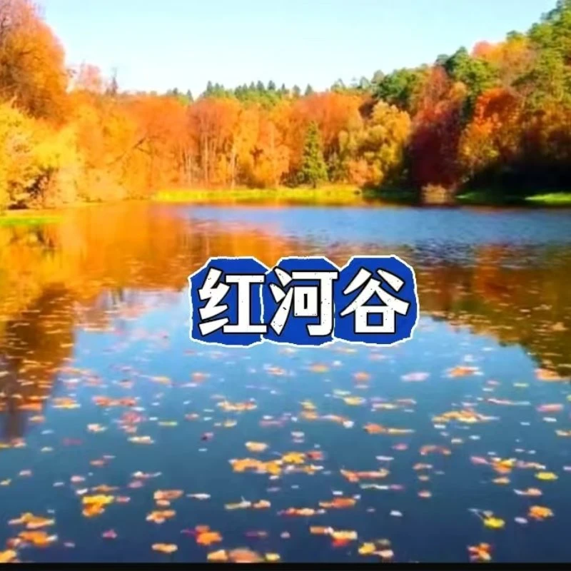学习演奏钢琴曲《红河谷》