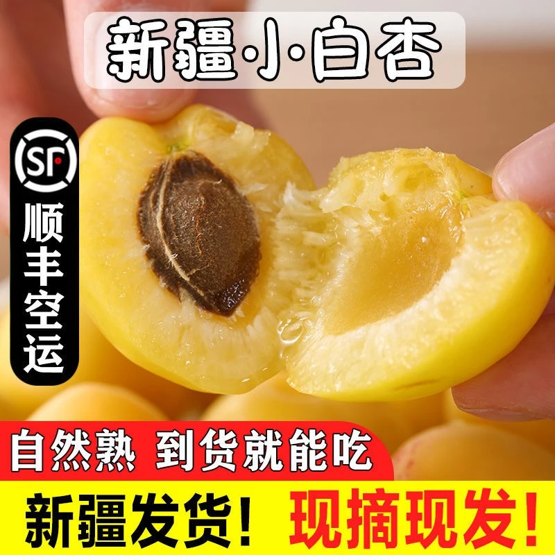 正宗新疆小白杏库车轮台杏子软糯香甜现摘现发整箱当季水果顺丰