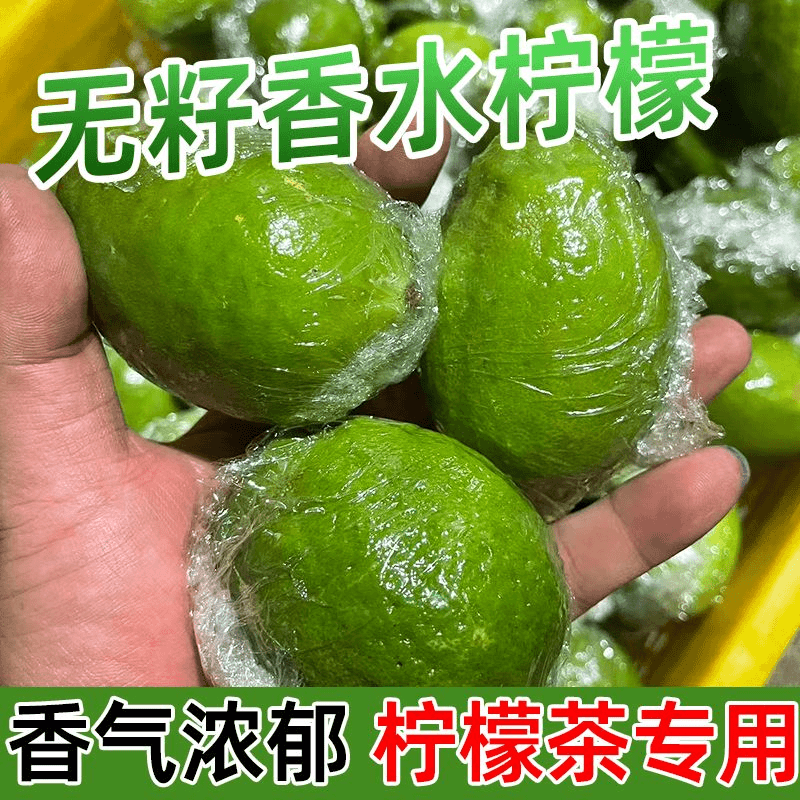 【果园现摘】现发广东香水柠檬精选果柠檬茶奶茶店商用无籽正宗