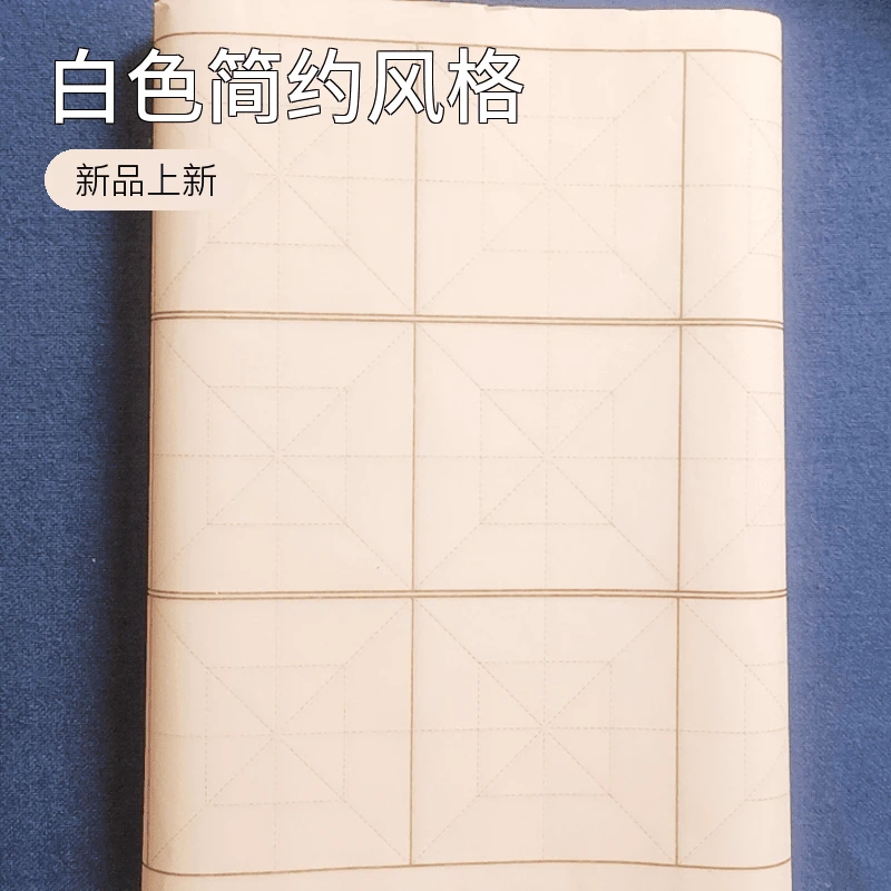 推荐3469厘米加厚生宣回米18格初学欧体楷书书画宣纸