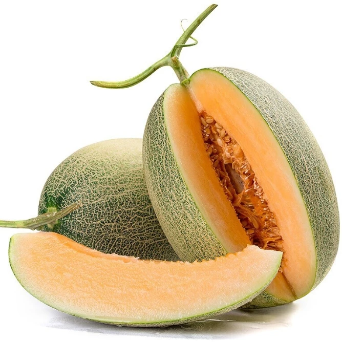 海南哈密瓜产地直发现摘现发新鲜水果口感甜蜜多汁香甜瓜