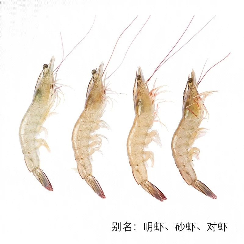 【更大只】鲜活南美白对虾（25-30只） 350g