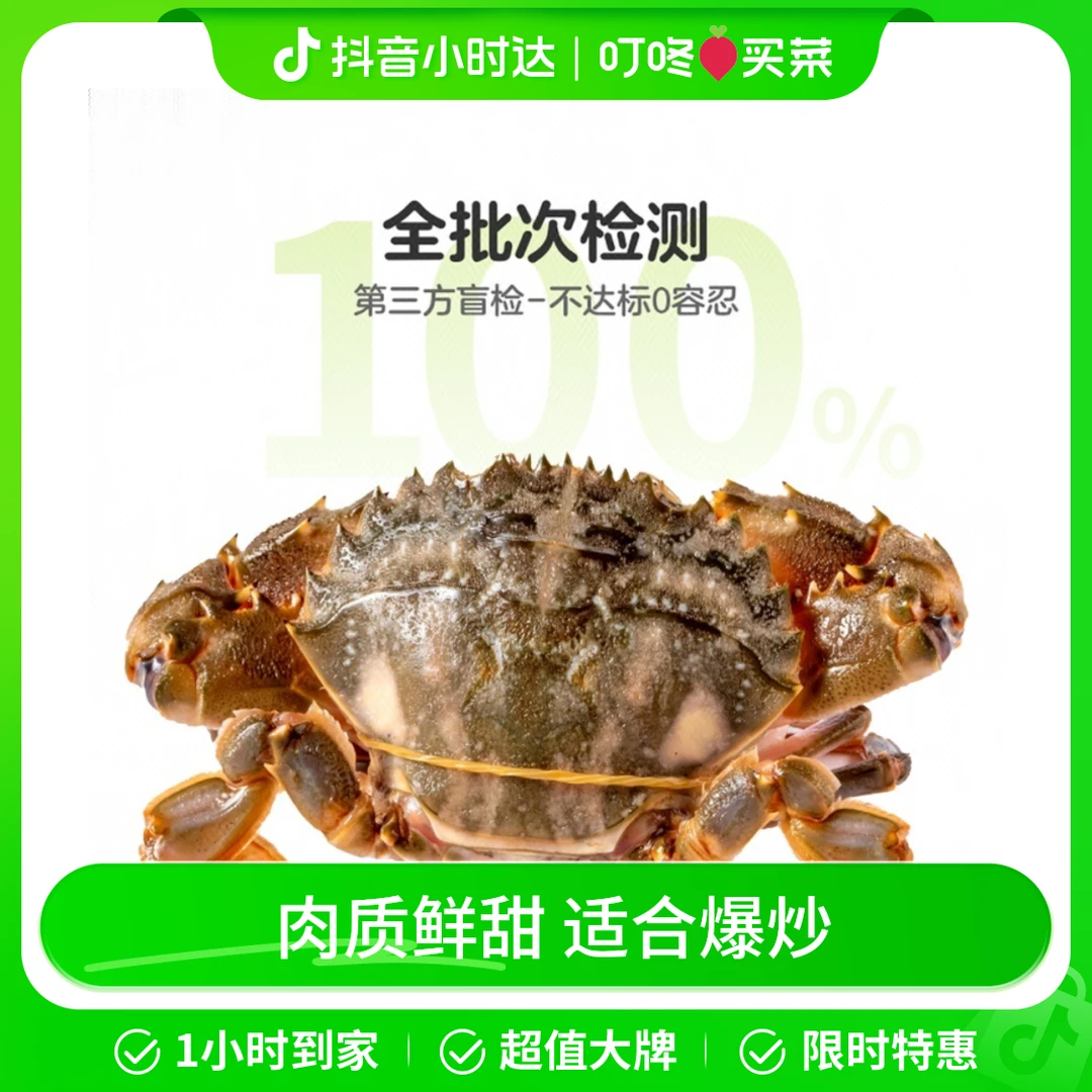 鲜活舟山石头蟹3-5只250g以上蟹同城配送海鲜