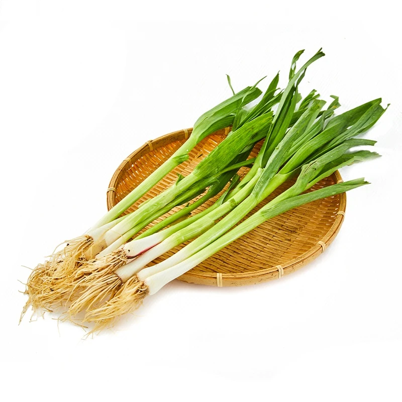 【高原鲜】青蒜 250g/份