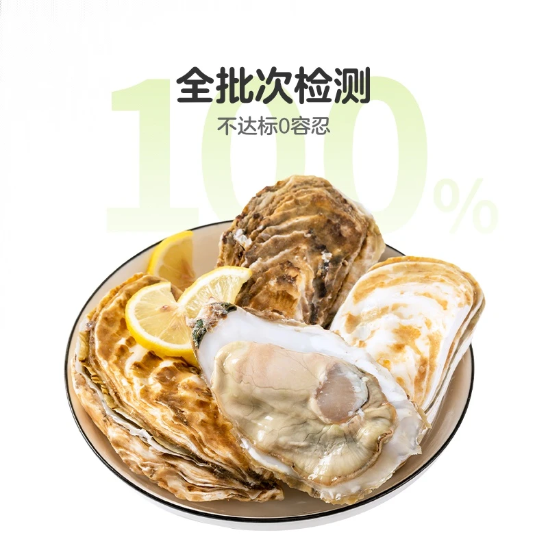 鲜活净化生蚝3只 约580g