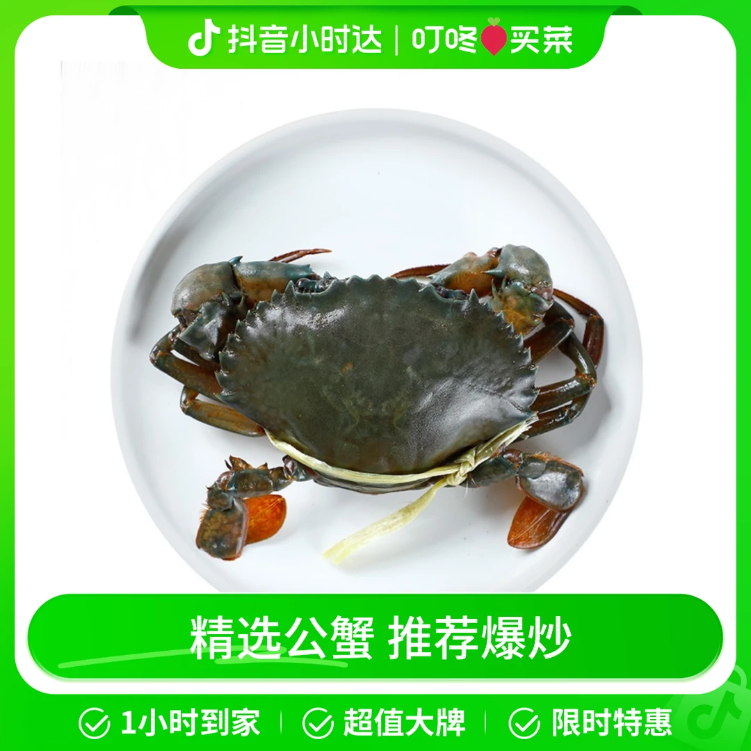 鲜活安达曼青蟹1只 100g蟹同城配送