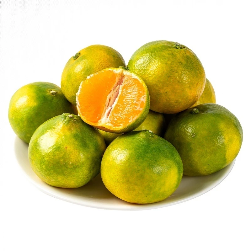 东江湖蜜桔 约800g