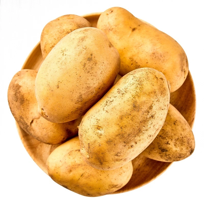 土豆（黄心） 约600g