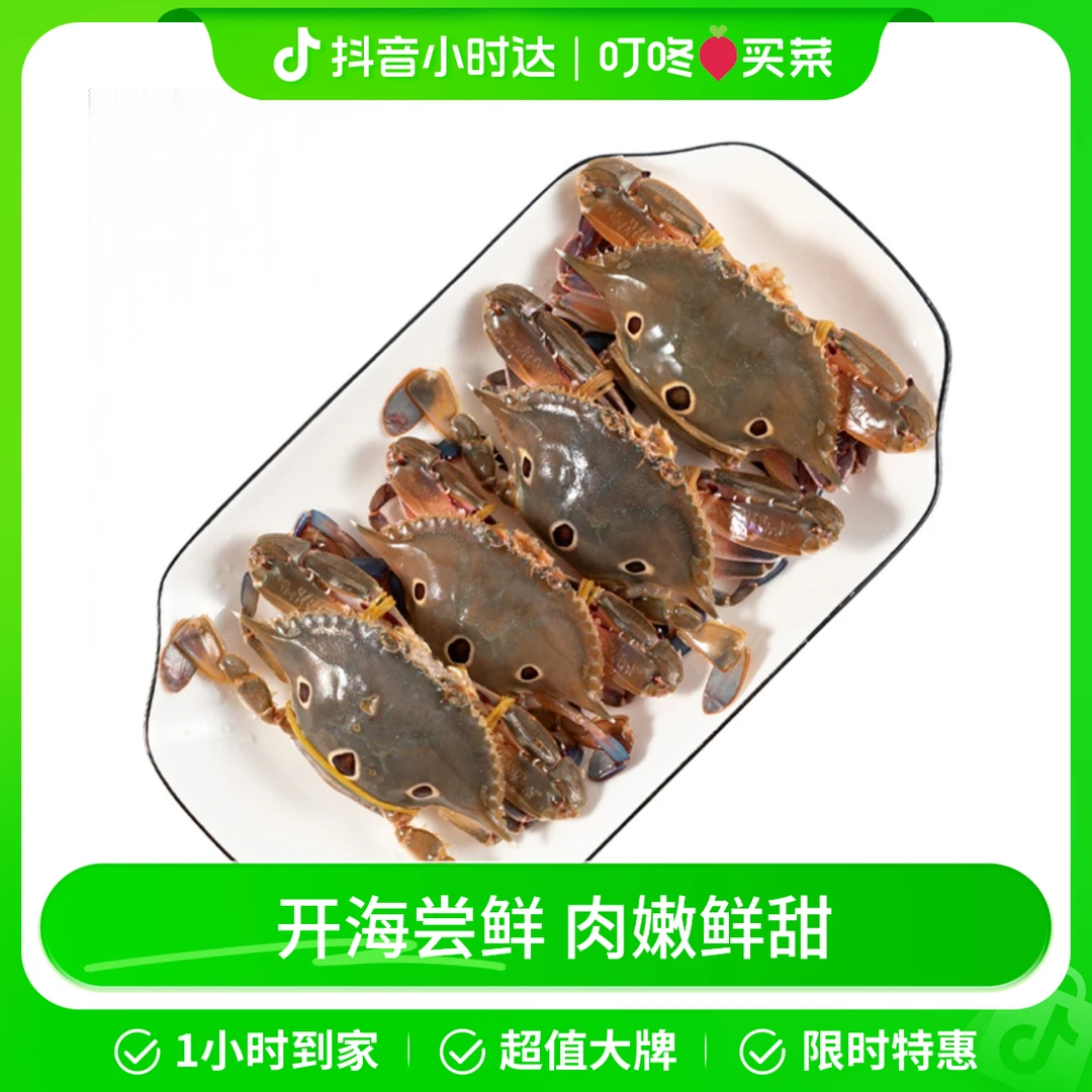 鲜活三点蟹（2-4只） 约400g