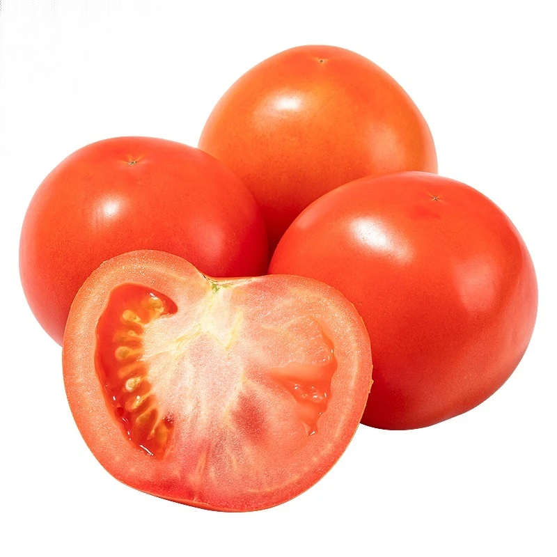 优质番茄 约500g番茄同城配