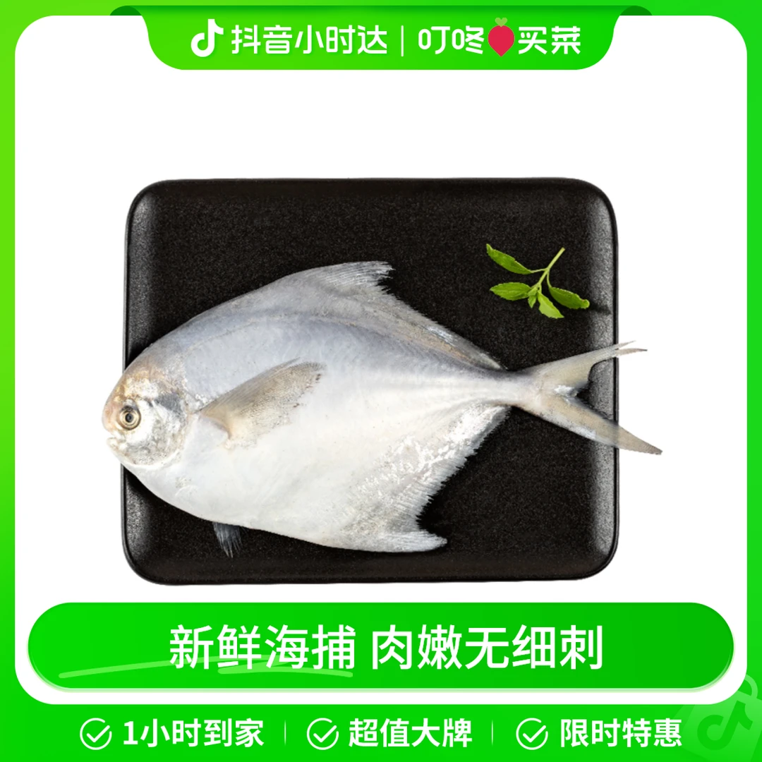 冰鲜大白鲳鱼1条 约200g