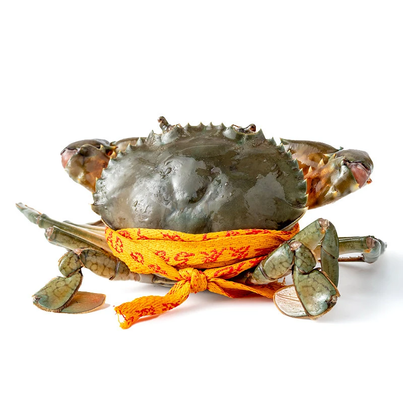 鲜活三门青蟹1只 200g蟹同城配送