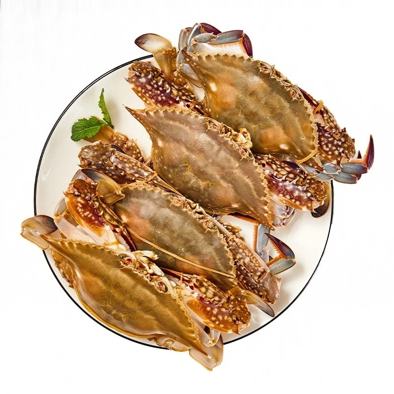 鲜活梭子蟹（3-5只）约400g