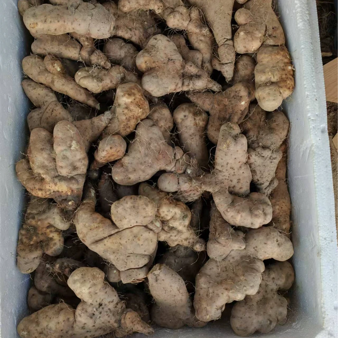 直播间专属—佛手山药3斤装小果尝鲜（部分破损不影响食用）