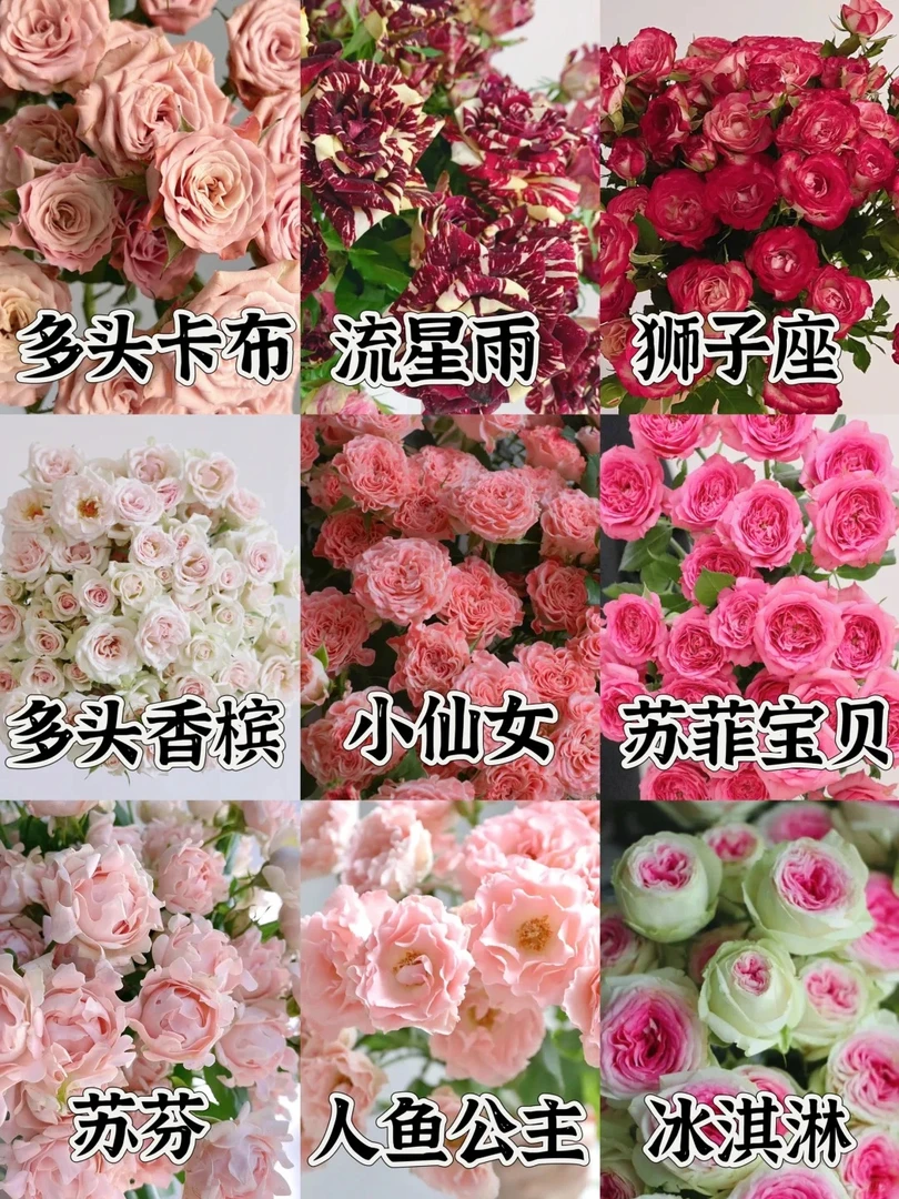 【空运补差价链接】 斗南鲜花云南直发玫瑰鲜花两单顺丰包邮