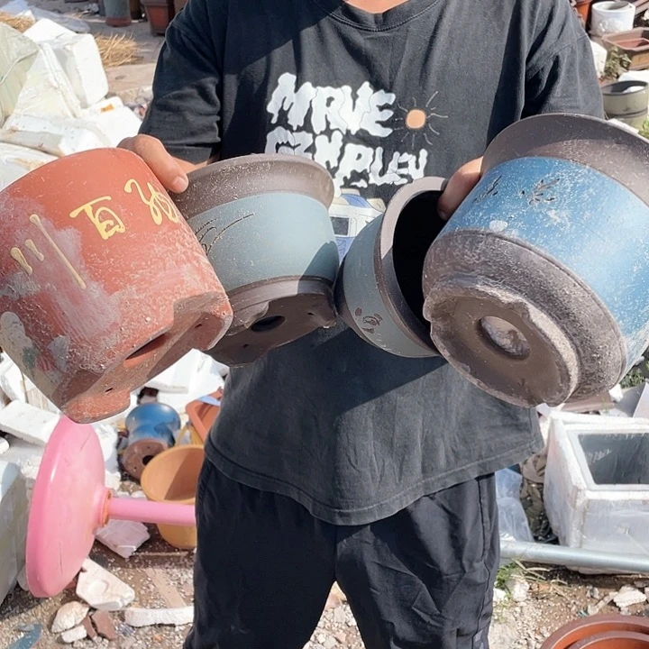 紫砂20CM（含）-50CM（不含）干净利落