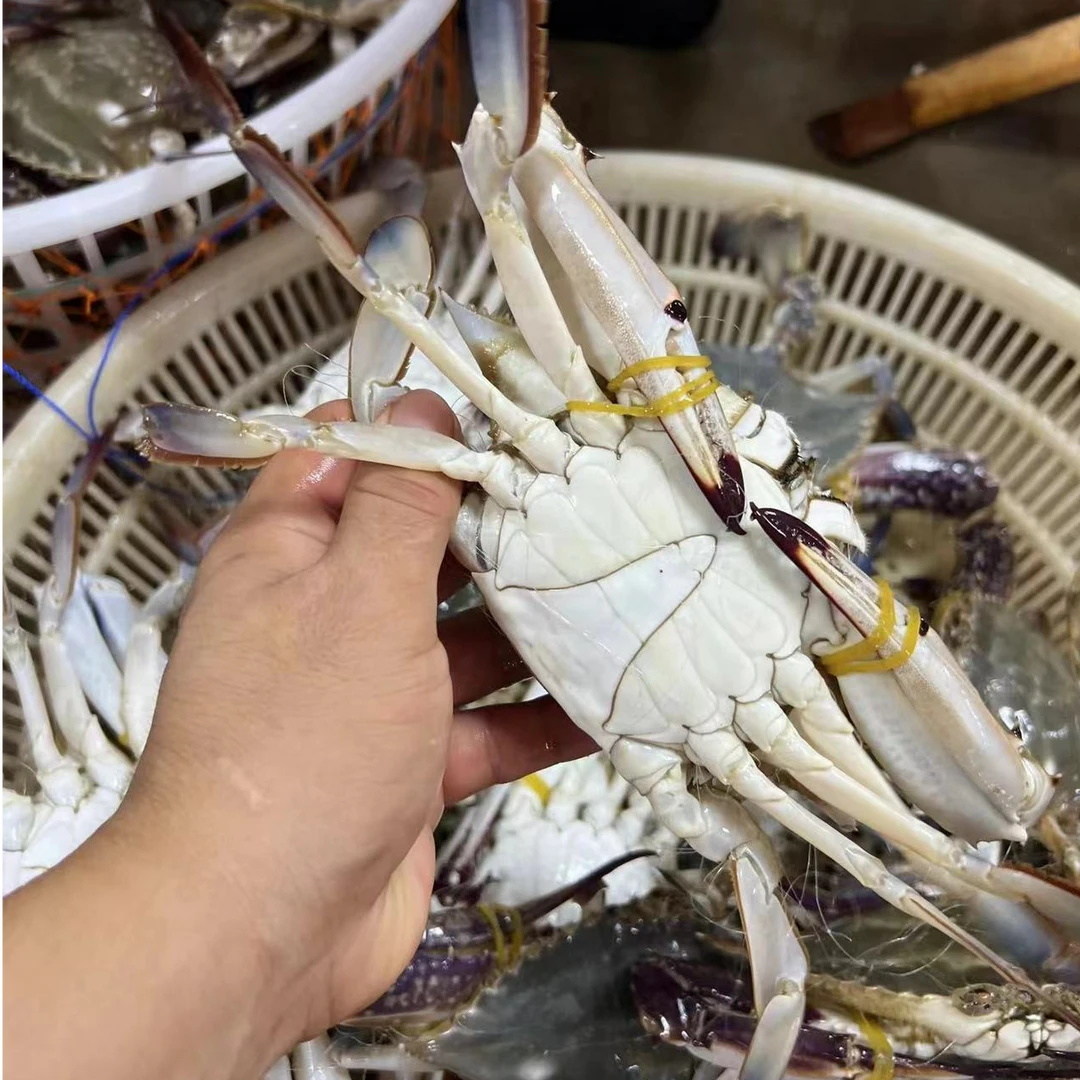 海鲜以直播现场称为准 （全肥混搭）