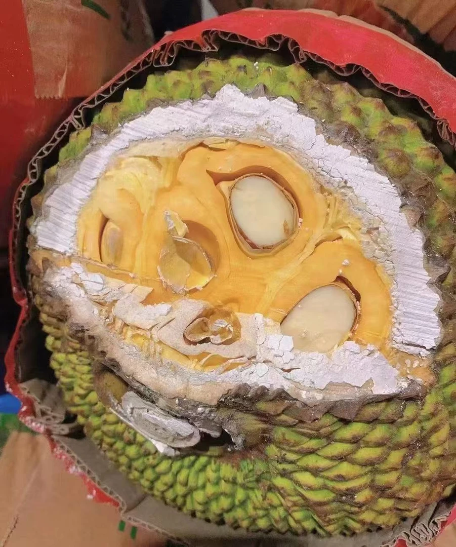 越南菠萝蜜500克/纯肉