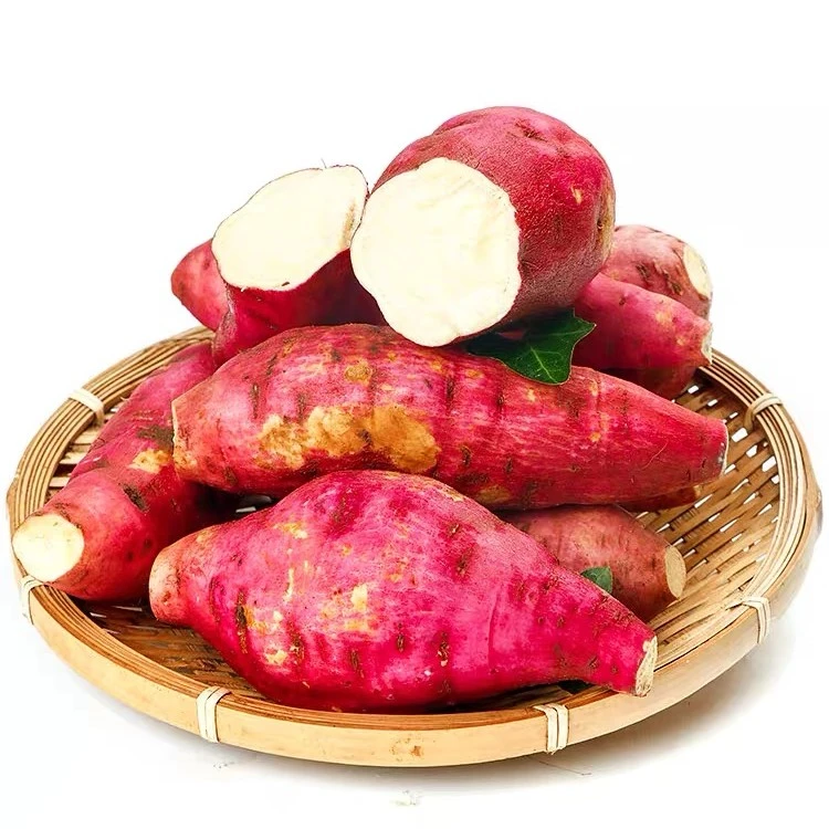 正宗白心板栗红薯红皮白心红薯香甜地瓜番薯沙地板栗薯白瓤粉糯