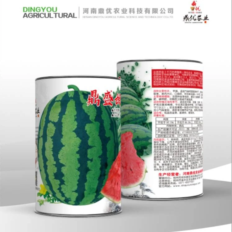 鼎优鼎盛甜 大果甜王类型大红瓤西瓜 高圆形  耐低温 耐裂性好