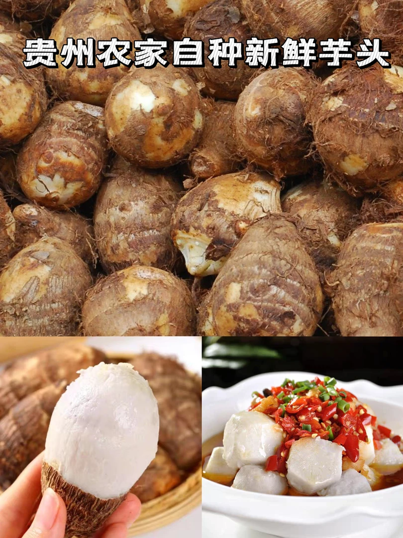 贵州新鲜芋头小芋头农家芋艿粉糯香芋小毛芋头芋儿仔芋2－5斤