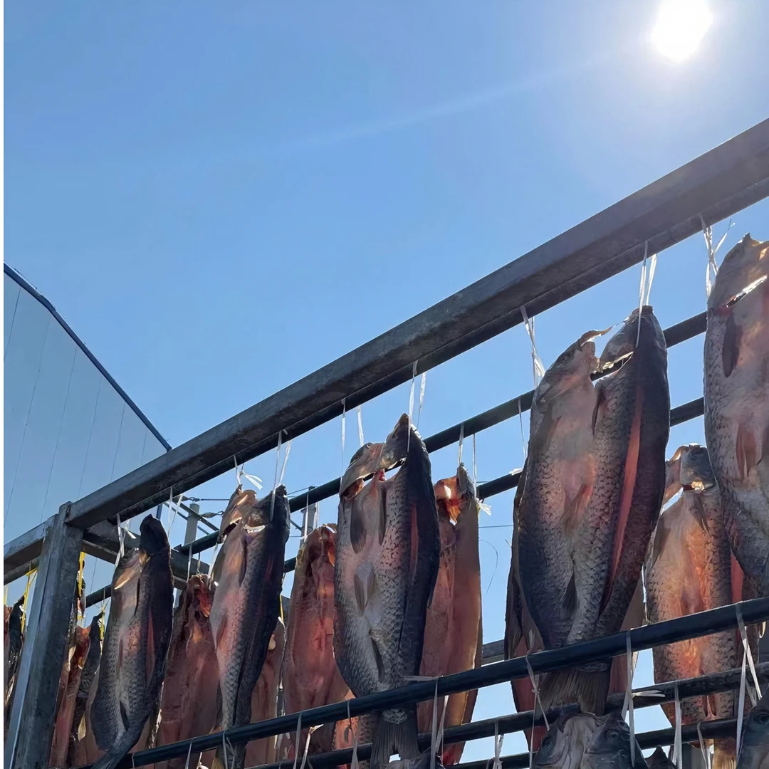 尚香 湖北特产农家美食淡水自养腊鱼腌咸鱼风干大草鱼咸味真空装