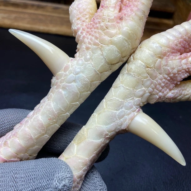 文玩鸡爪骨手把件（一对斗鸡骨 处理好十天左右发货）