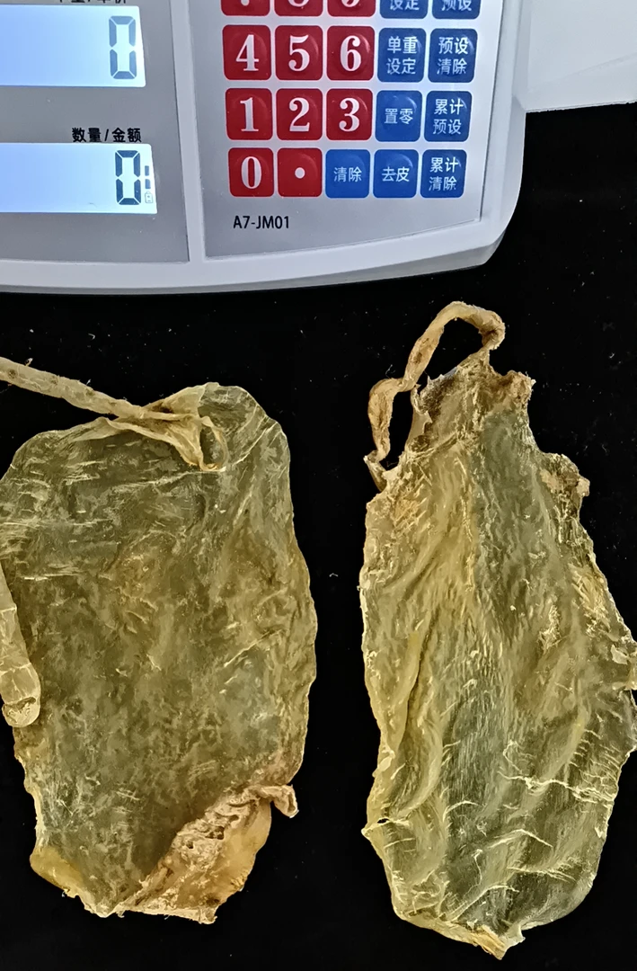 广东 琪阳膳品 斗湖公