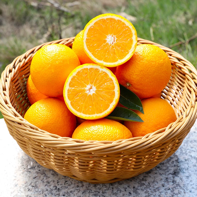 正宗赣南脐橙赣南纽荷尔脐橙正宗脐橙江西赣州水果奉节新鲜橙子