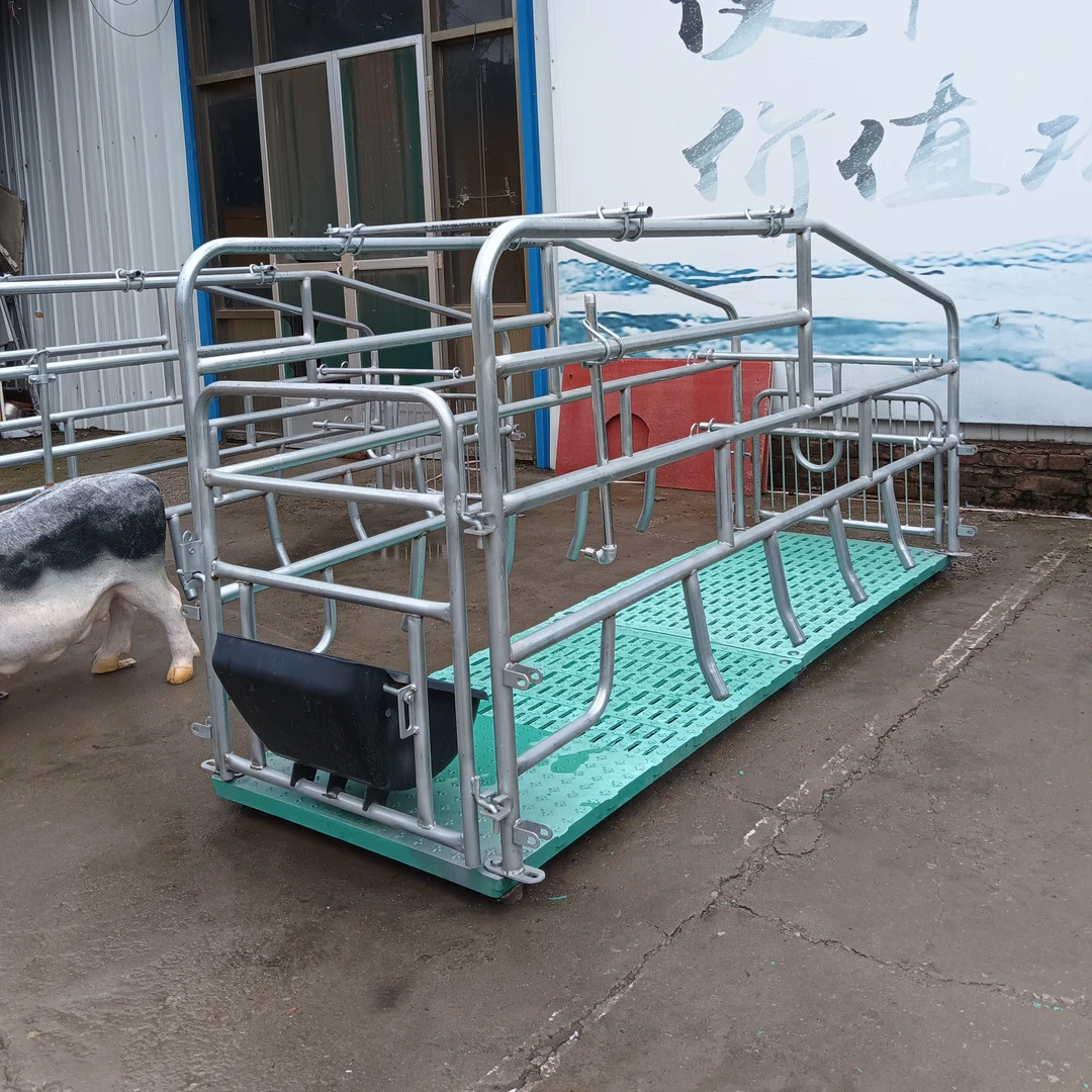 单体带板简易母猪产床