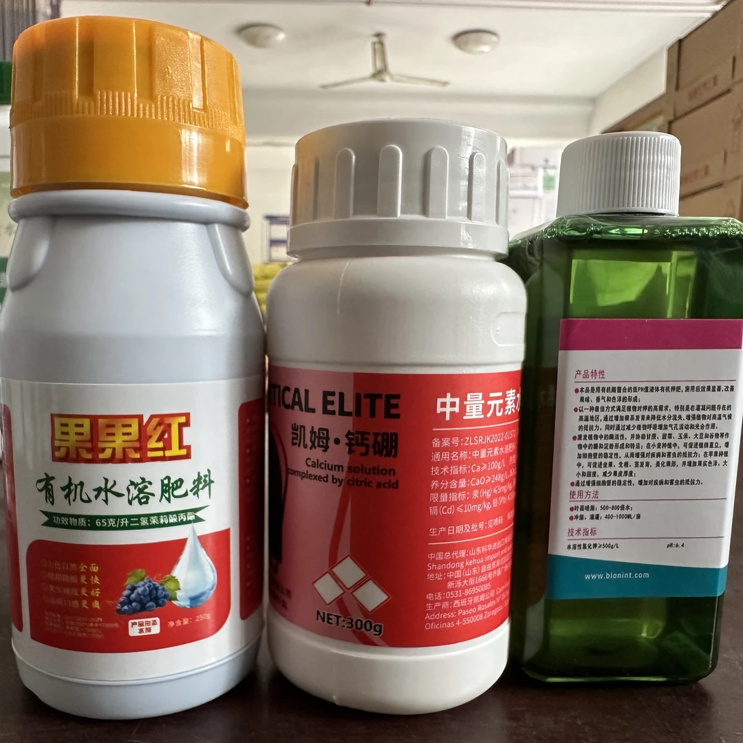 二氢茉莉酸 促进果实快速转色，上色均匀，不影响幼果膨大！