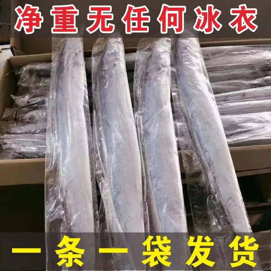 海洋网捕印尼大带鱼每条1斤以上3斤-10斤冷冻发货送礼自用
