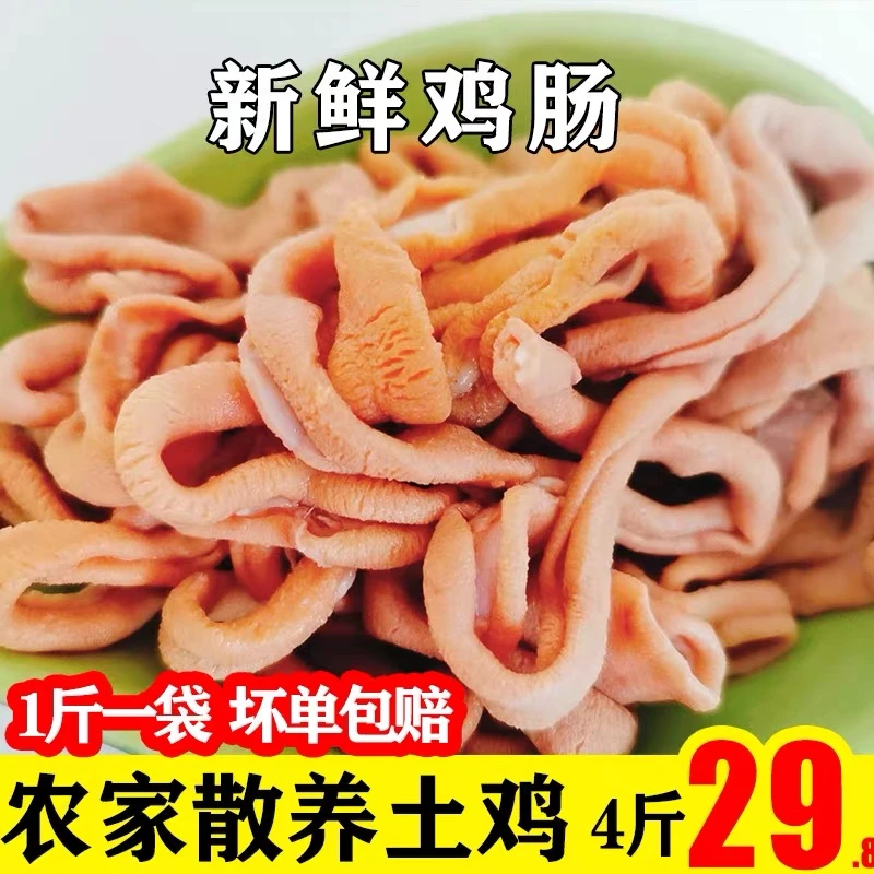 新鲜鸡肠鸡内脏冷冻鸡小肠烧烤食材非鸭肠冷冻鸡肠子【半熟免洗】