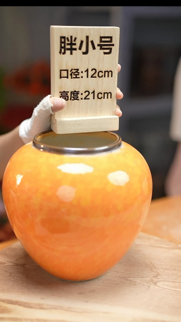 【闪购商品】花器胖小号活力橙