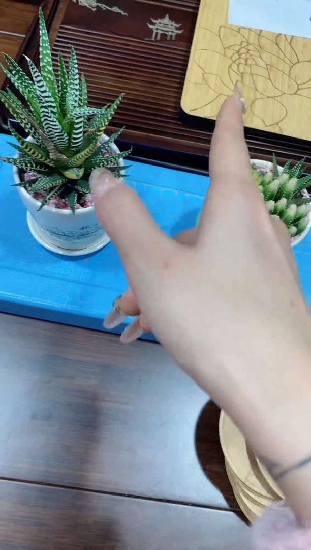 【闪购商品】竹蓝色心情50*22 微瑕