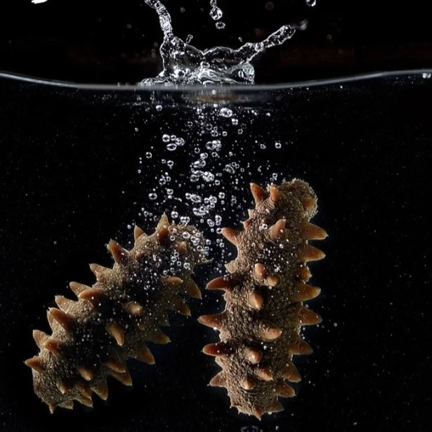 即食海参真空包装5斤装大连辽刺参